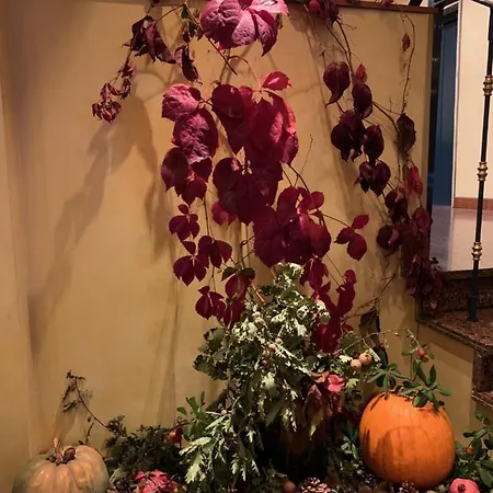 Hotel Savant Lamezia Terme