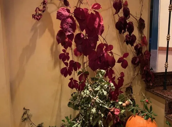 Hotel Savant Lamezia Terme